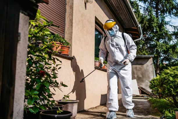 Best Wildlife Control Services  in Liberty City, TX
