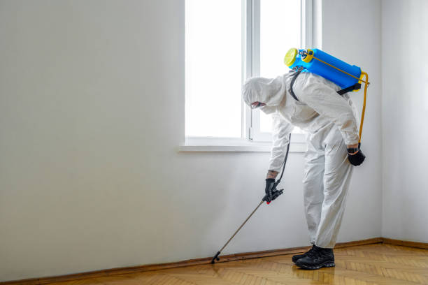 Pest Control Cost in Liberty City, TX