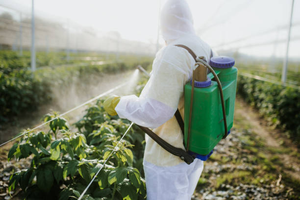 Best Bed Bug Extermination  in Liberty City, TX